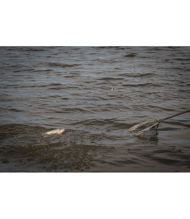 Matrix Plastique Bottom Weighted Feeder