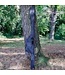 Prowess Futteralen Individuel Excelia Forest  10ft