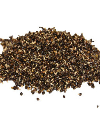 Reniers Fishing Extra Gekochter Hanfsamen (Kempfsamen)