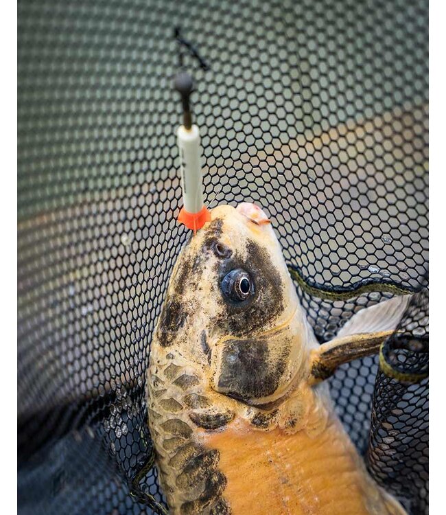 Matrix Foam Pellet Waggler