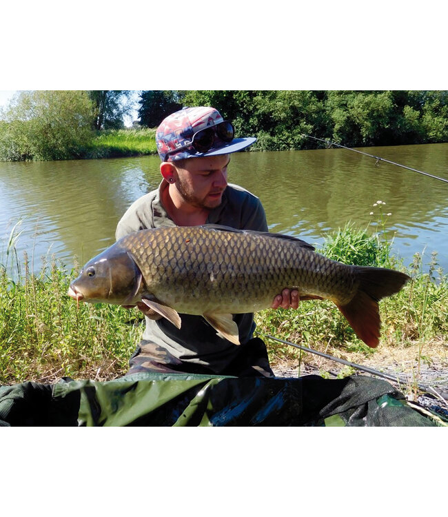 Arca evil carp 5.40m