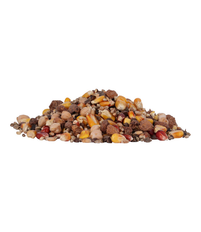 Reniers Fishing Expert Partikel Mix 3 Kilo