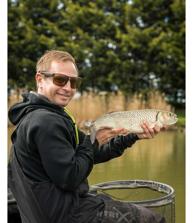 Matrix Polarisierte Sonnenbrillen Casual Frosted Black - Braun