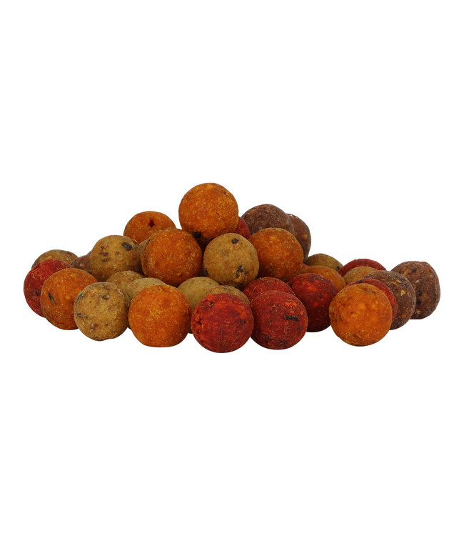 Reniers Fishing Futterboillies 20mm (4 kilo)