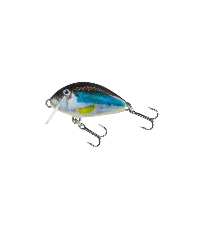 Salmo Tiny Flottant (profondeur 0.3m) 3cm - 2g