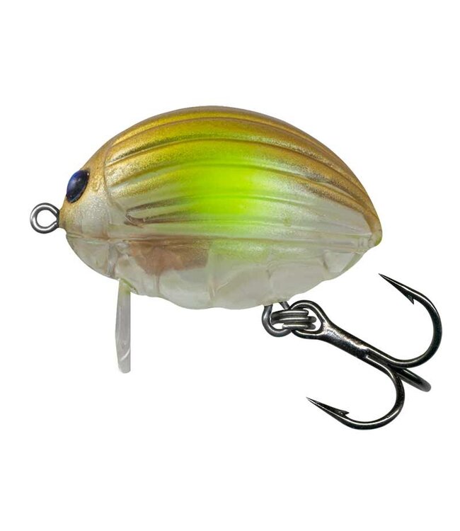 Salmo Lil'Bug Flottant (profondeur surface) 3cm - 4.3g