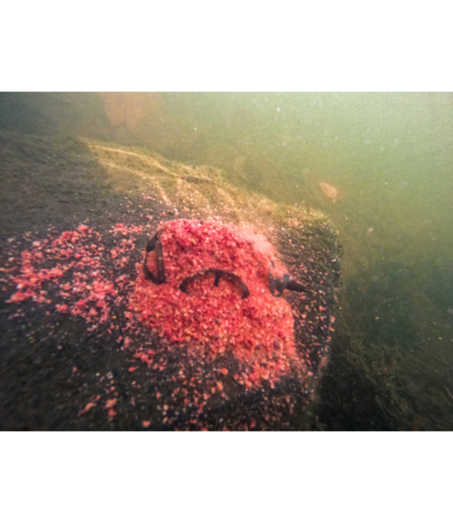 Korum Camo Rivière Method