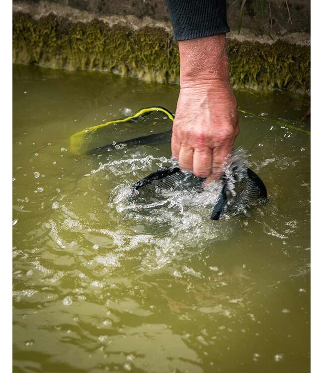 Matrix Pellet Soaker