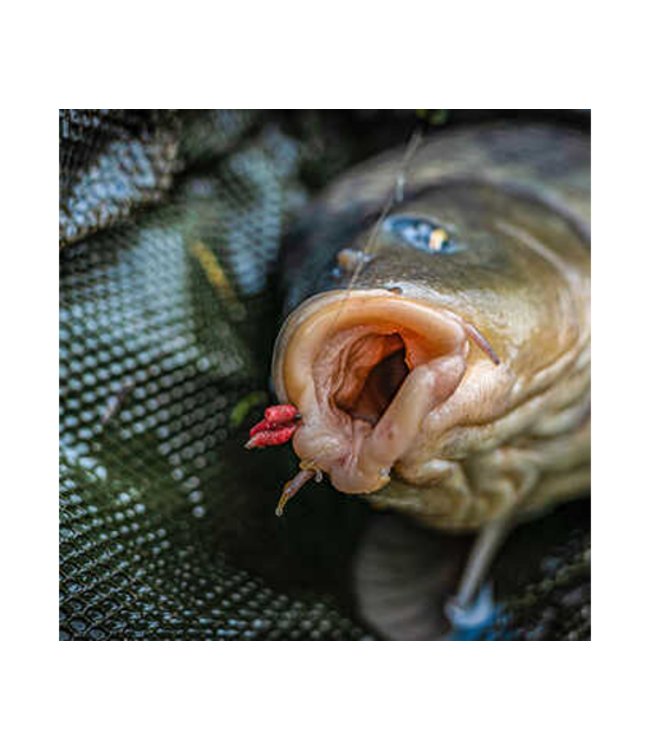 Korum All Rounder Supersteel Barbless (10 pcs)