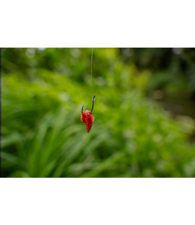 Korum Xpert Maggot Barbless (10 pcs)