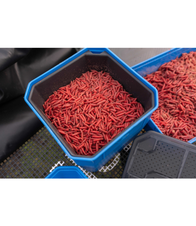 Preston Boîte Appât 4pt