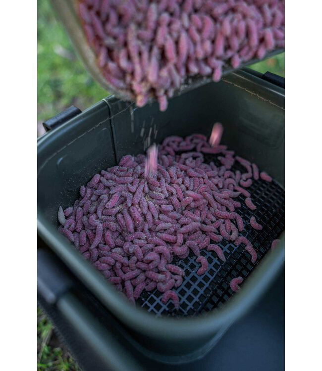 Korum EVA Bait Station