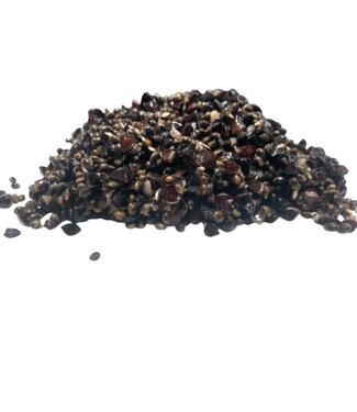 Reniers Fishing Gekochte Hanf - Buchweizen-Mix