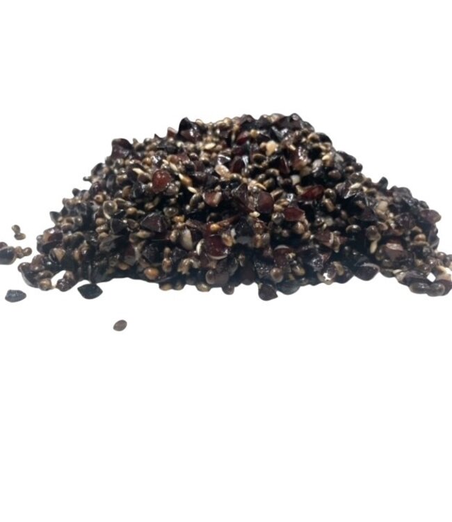 Reniers Fishing Gekochte Hanf - Buchweizen-Mix