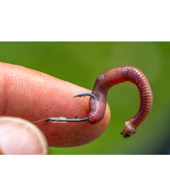 Preston Natural N-60 Palette - Ardillon (15 pcs)