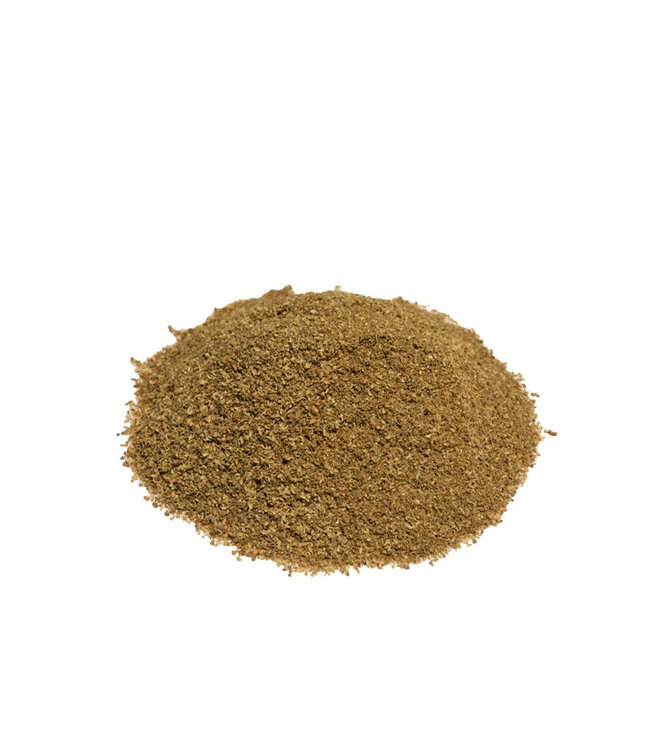 Reniers Fishing Vers Gemalen Koriander 500gr