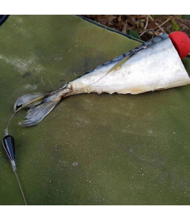 Zebco DB Series Deadbait Pop Up Kit