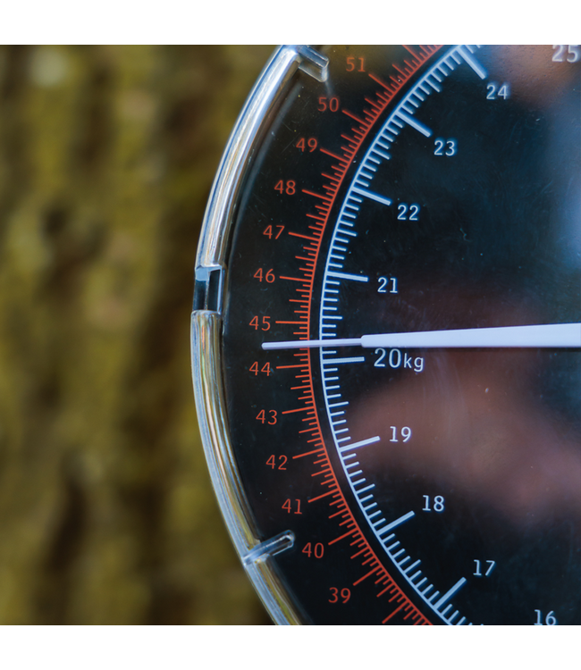 Fox Dial Balance 120lb - 54kg