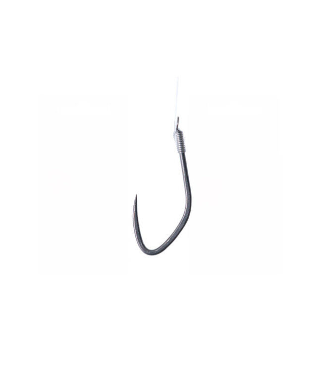 Drennan Drennan Acolyte Maggot Plus 15cm – Bas de ligne sans ardillon
