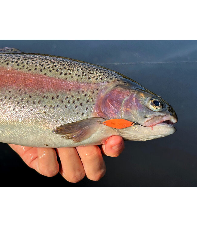 Trout Master Serc Spoon 1.6g (1 pc)