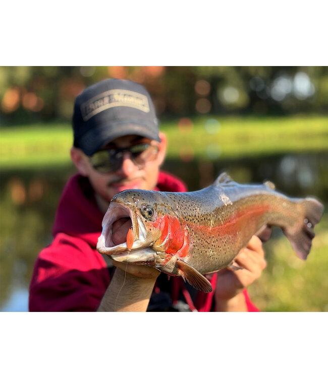 Trout Master Serc Spoon 1.6g (1 pc)