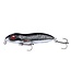 Spro Iris Walk'R Hardlure 6.5cm 6.7g