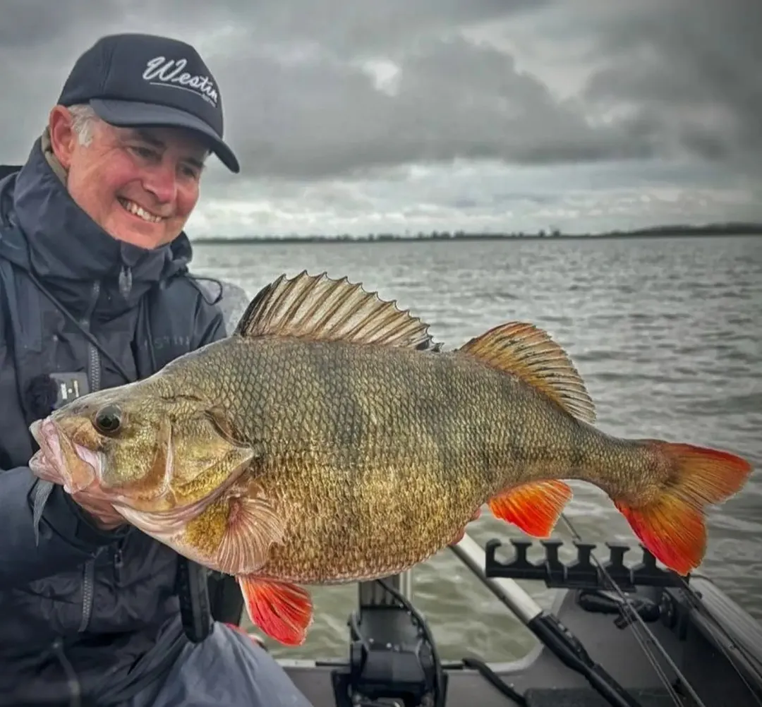 Découvrez la Puissance de Westin : Cannes Innovantes, Leurres et Conseils pour la Pêche aux Carnassiers