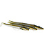 Westin Magic Minnow Weedless Jig 18g 10.5cm Hameçon 1 – Leurre Souple Weedless avec Tête Plombée, Corps Super Souple et Système Rapide