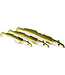 Westin Sandy Andy Weedless Sinking Jig 16g - 10cm - Hook 2