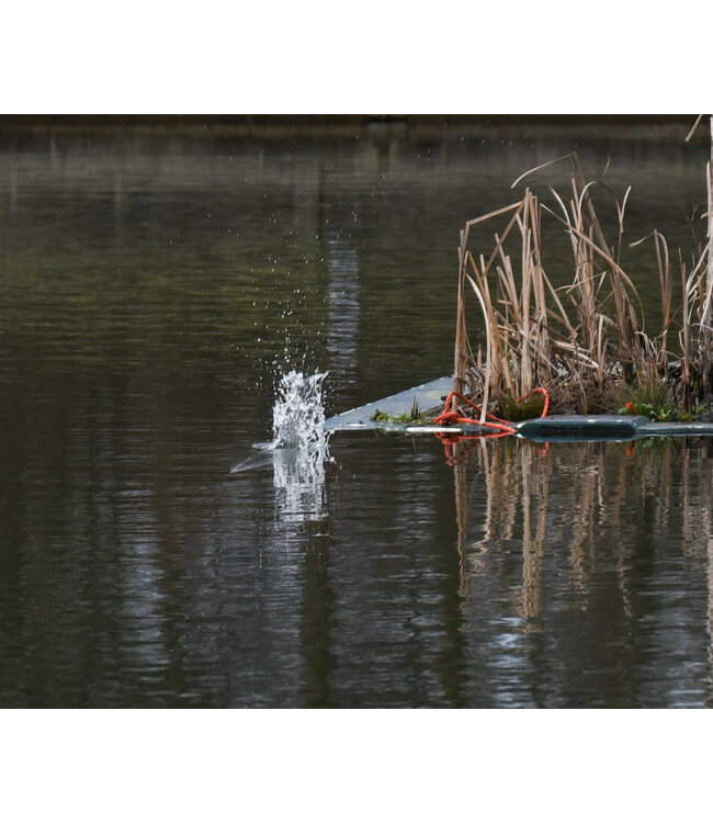 Cresta Accelerate Easy Fill Feeder