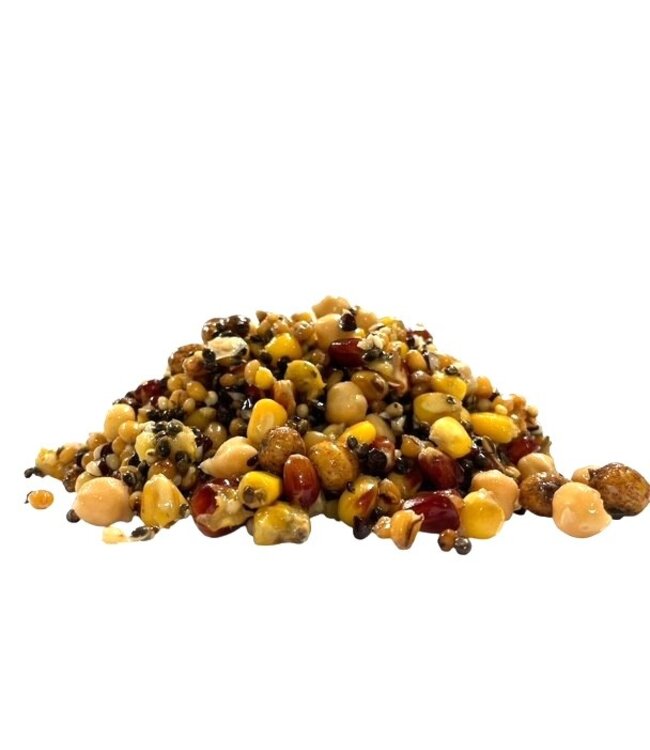 Reniers Fishing Ready To Fish Superior Partikel Mix