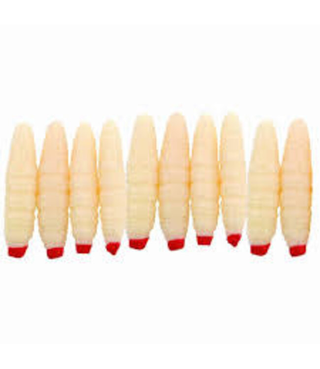 Albatros Troutstyle Honeyworm (10 pcs)