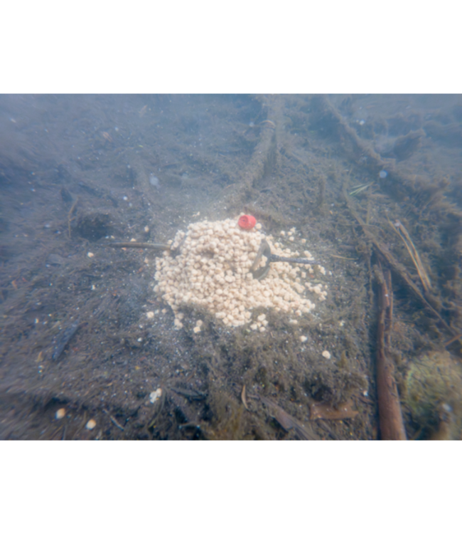 Korum Double Method Feeder 50g