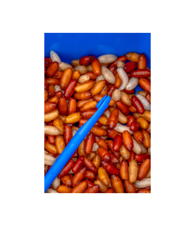 Preston Bander-Disgorger Twin Pack