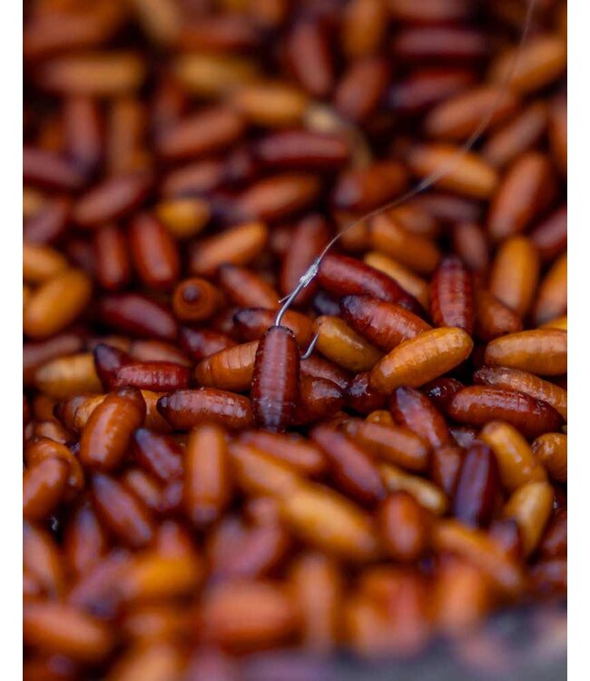 Matrix X4 Commercial Silvers Palette-Sans Ardillon (10 pcs)