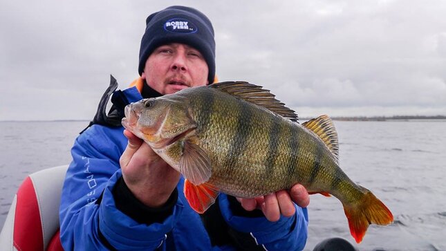 Ein Raubfisch-Interview mit Frans Wijns von Shimano