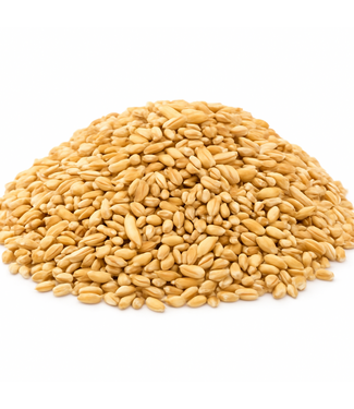 Reniers Fishing Weißer Weizen 3 kilo