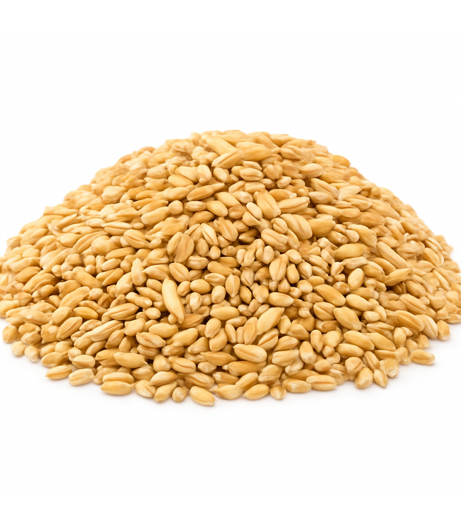 Reniers Fishing Blé Blanc 3 kg