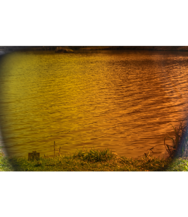 Preston Lunettes Absolute Wrap – Verres ambre brun