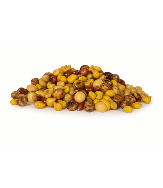 Reniers Fishing Ready To Fish Pro Partikel Mix ' Special Mix '