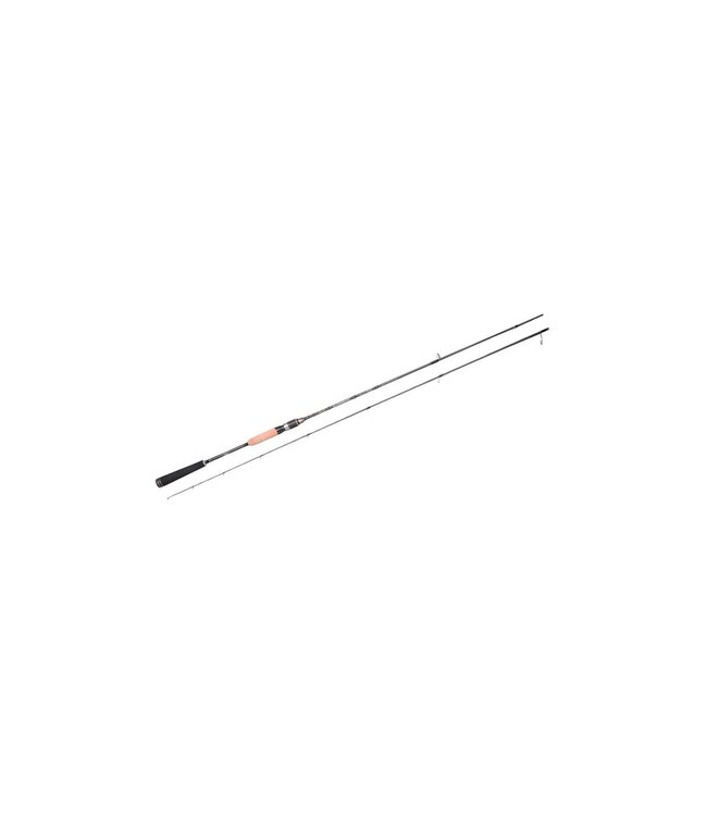 Gamakatsu Spinhengel AJ Master (2 delen) 2.28m - 5-7g