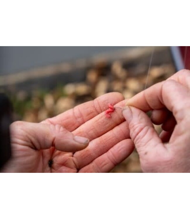 Guru Combo Natural Waggler Canne 11ft & Moulinet