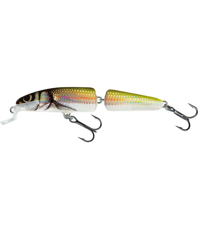 Salmo Fanatic Flottant (profondeur 0.5-1m) 7cm - 5g