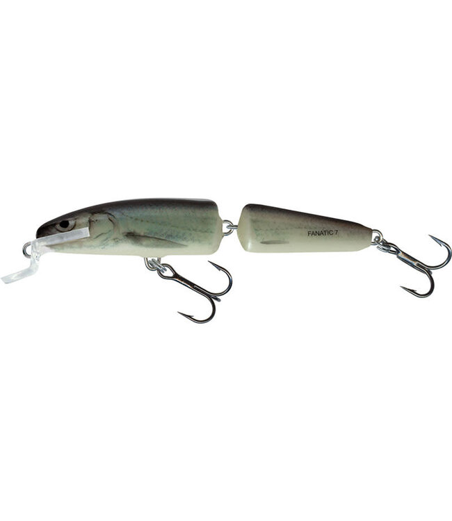 Salmo Fanatic Flottant (profondeur 0.5-1m) 7cm - 5g
