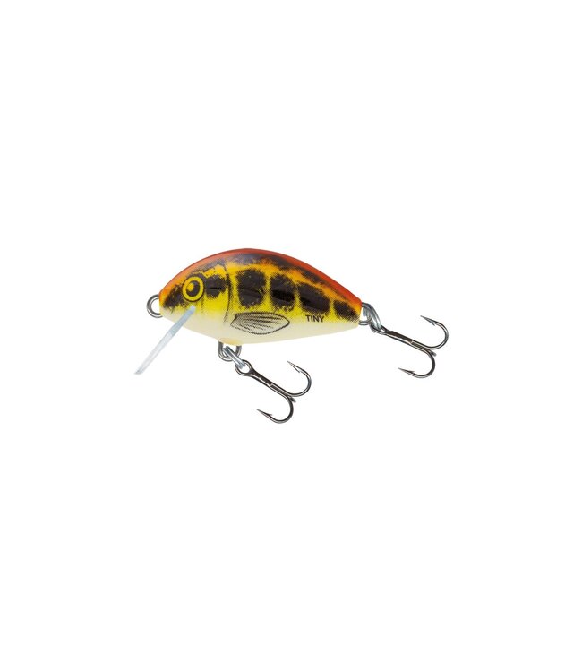 Salmo Tiny Sinking (diepte 0.3m) - 3cm - 2.5g