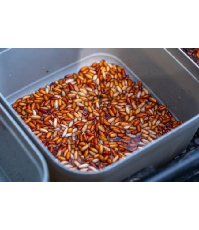 Guru Conti Bait Box Grey