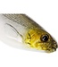 Westin Shadteez 12cm 15g Bling Perch