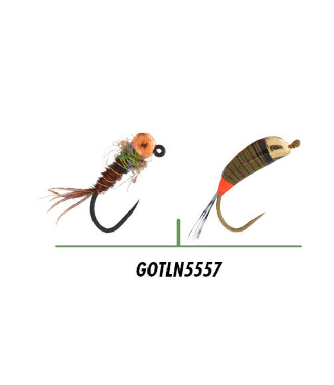 Garbolino Montage Nymphe ensemble 2 nymphes