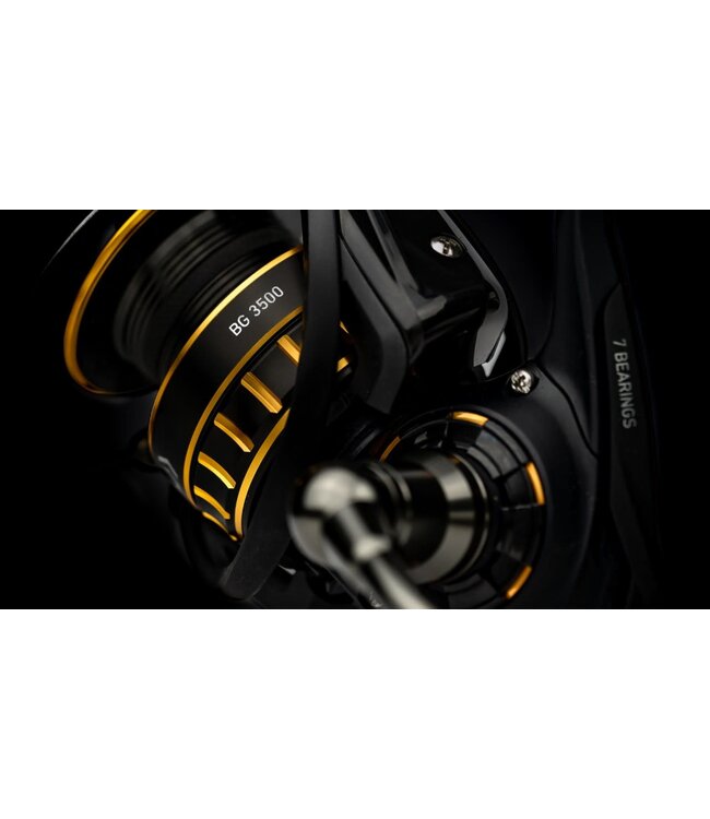 Daiwa Moulinet BG