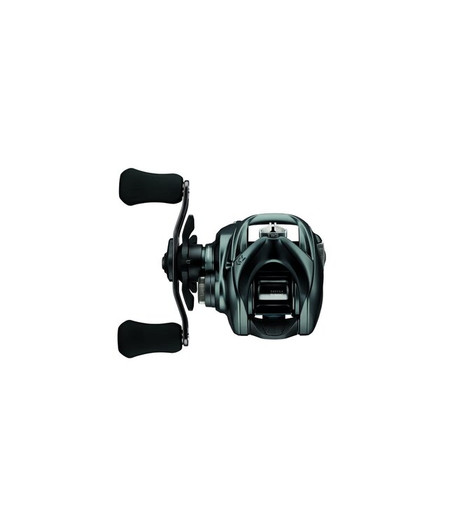 Daiwa 24 Tatula SV TW100HL